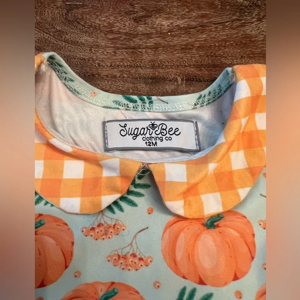 Sugar Bee Pumpkins on‎ Mint Twirl Dress size 12 months